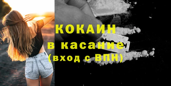 крисы Сатка