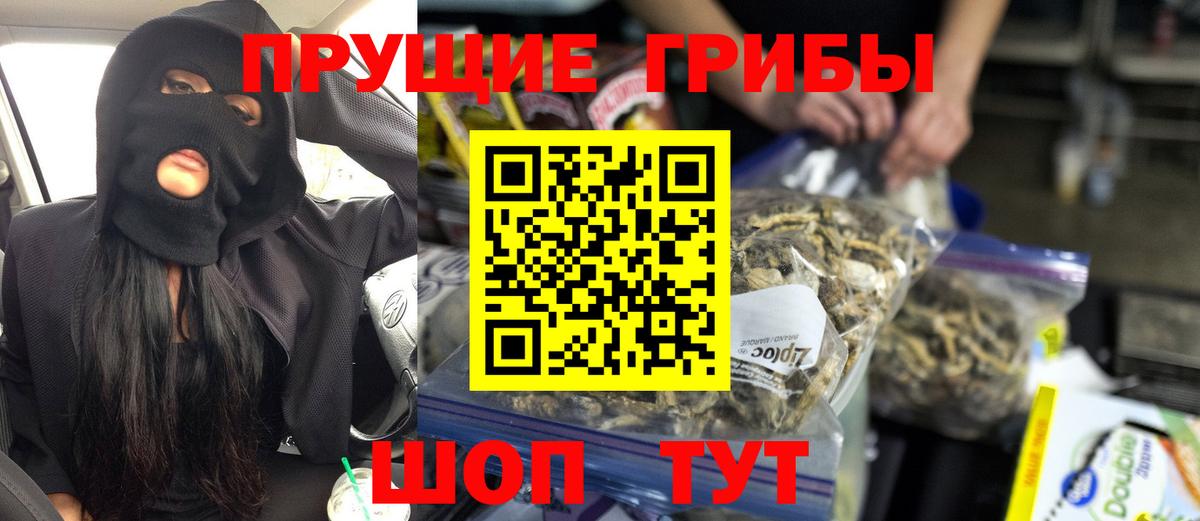 Галлюциногенные грибы Psilocybine cubensis  Галлюциногенные грибы Psilocybe  Вход с VPN  Полысаево 